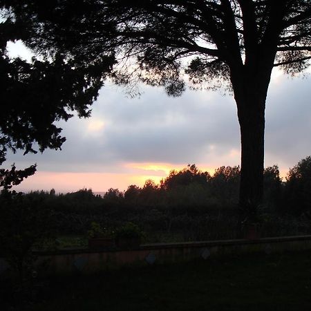 Bed and Breakfast Ai Cipressi Salemi Zewnętrze zdjęcie